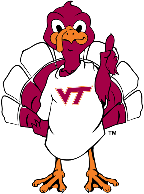 Virginia Tech Hokies 2000-Pres Mascot Logo v3 DIY iron on transfer (heat transfer)